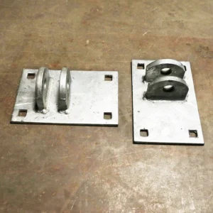 Single T Female - Special